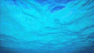 Norma Winstone, Kenny Wheeler, John Taylor & Maritime Jazz Orchestra -   Siren's Song