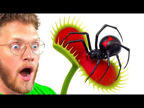Beckbros React to BLACK WIDOW vs VENUS FLYTRAP