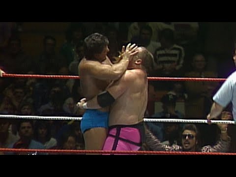 The Hart Foundation vs. The Rougeau Brothers: World Tag Team Championship Match - March 7, 1987