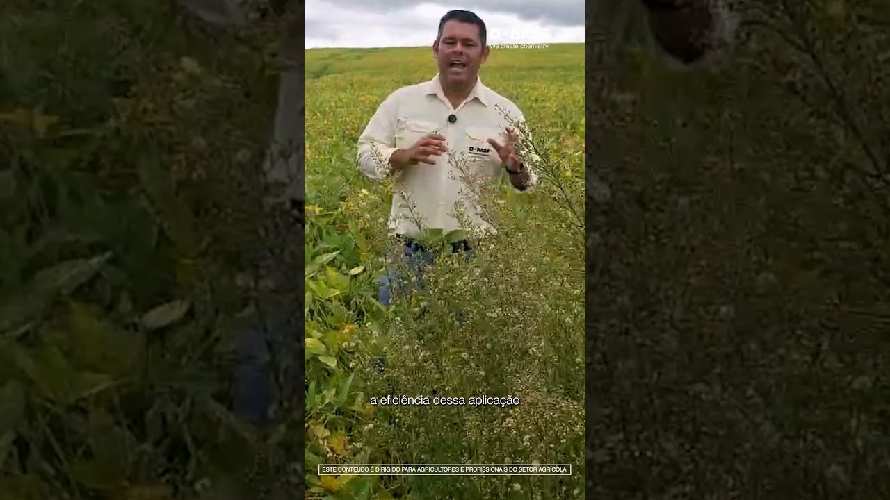 Por que o glufosinato genérico falha no controle da buva?