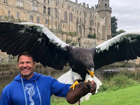 Steller's sea eagle in Bullet time!