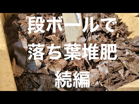 落ち葉をリサイクルするための5つのヒント！  庭園