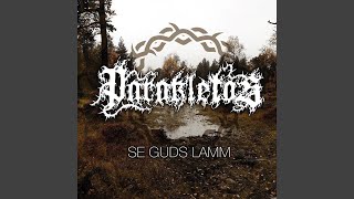 A Sovereign Fortress