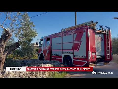 January 23, 2026 Ugento: Tragedy in the countryside: 53-year-old man crushed to death by a tree t...