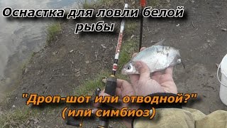 Ловля мирной рыбы спиннингом на отводной поводок