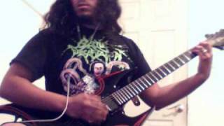 berzerker guitar cover- forever