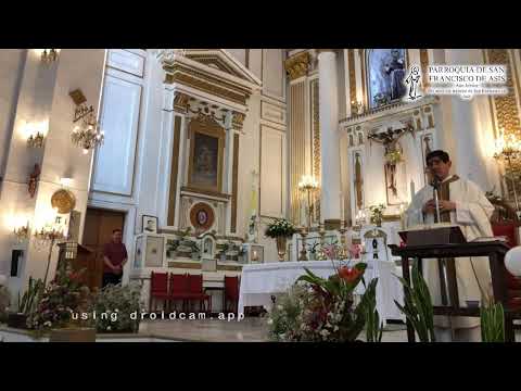 Santa Misa, en vivo desde la Parroquia de San Francisco de Asís, Pachuca, Hgo.