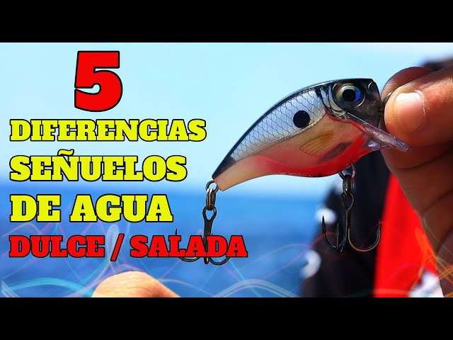 Vídeo relacionado con Topwater Frog - Señuelo de pesca realista para pesca Swimbait, cebo flotante , cebo de pesca de perca artificial, cebo de rana para lucio, agua salada, perca de agua dulce, trucha