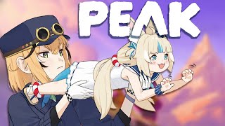 [Vtub] DoobySaba PEAK連動