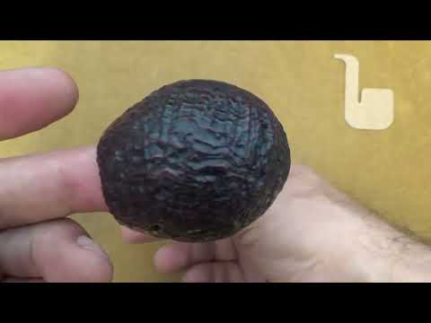 Pipa Peterson Standard System Large Sandblast B42 “Darwin“