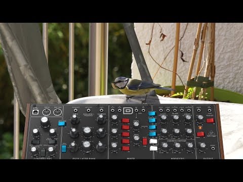 Model D, Neutron & some little friends (Birdsong)