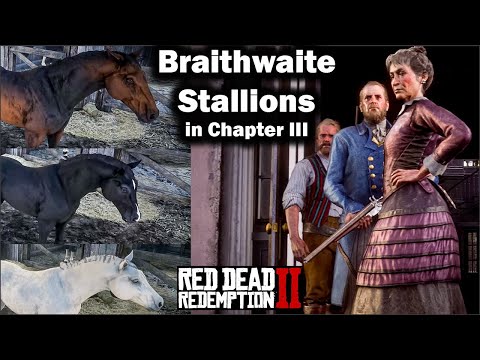 Get a Braithwaite Stallion in Chapter 3.Turkoman, Black or White Arabian - a 2021 Guide - Red Dead 2