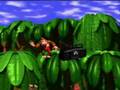 DKC SNES Opening
