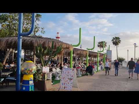 Tenerife Costa Adeje Tonight 31/3/2022 - Beautiful Puerto Colon Meeting more Scotsman !