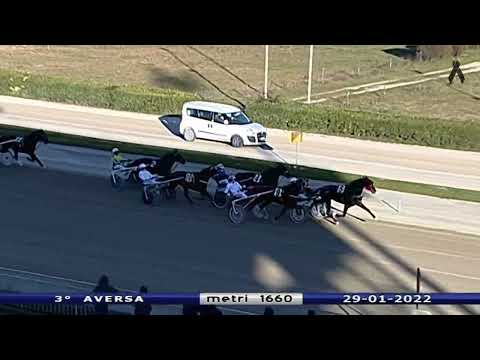Aversa trotto 29 Gennaio 2022 - 3° Corsa