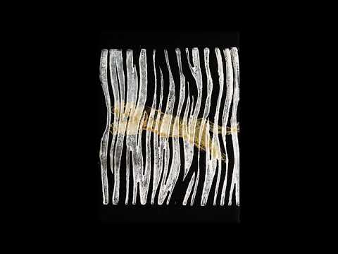 Evitceles - Never Young [ACCENTLP002]