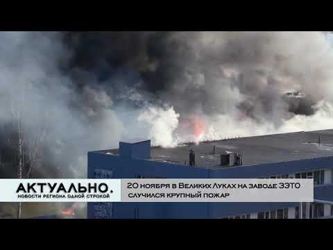 Актуально Великие Луки / 20.11.2020