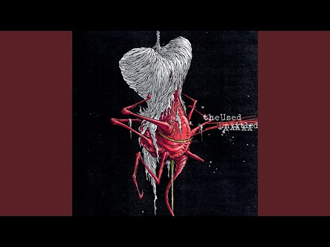 Video thumbnail for In A Needle