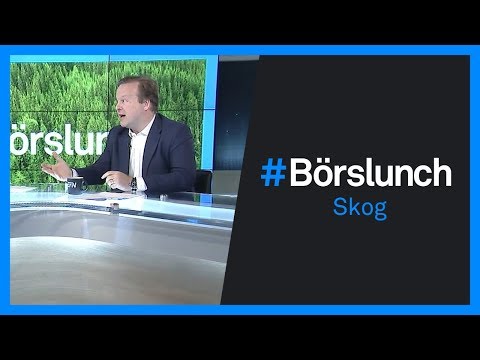 Hetaste skogsaktierna | Börslunch 24 november