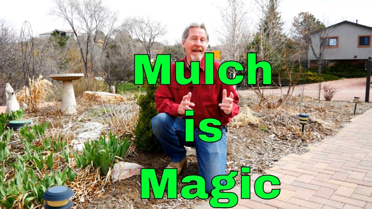 Understanding Mulch - Magic in the Garden - YouTube