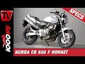 Honda CB 600 F Hornet Factsheet Overview Details Specs Sound No Voice