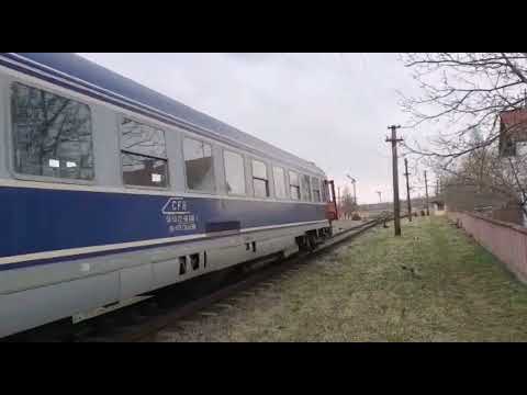 Concert de goarne /Horns concert #25