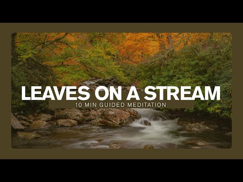 Guided Meditation: Leaves on a Stream (10 minutes)