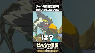 リーバルに格の違いを見せつけるリンクさん【ゼルダの伝説 ブレワイ】