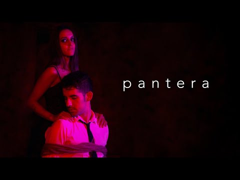 Pantera video