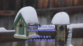 Snowflake - Jim Reeves || with lyrics (영어가사/한글번역)