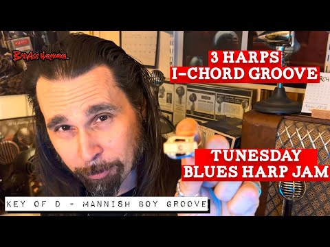 How To Not Suck with 3 Harps and 1 Chord!🎵🎵 - Blues Harmonica Jam  - Blues Harp Licks  - Tunesday 86