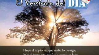 Miniatura del video: El versiculo del dia .com - Proverbios 28 v1