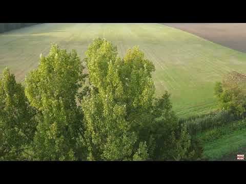 Drohnenvideo     UNTERRETZBACH