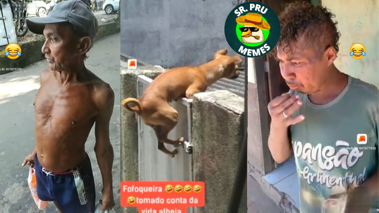 Os Vídeos + Engraçados do Whatsapp 2023! Tente Não Rir #13 - Whatsapp Memes Br
