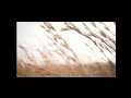 A Bug S Life Game Welcome To Ant Island Slowed And Reverb