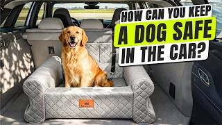 How to Keep Your Dog Safe in The Car