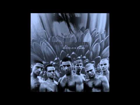 Karl Johansson - Du Riechst So Gut (Rammstein Full Band Cover)