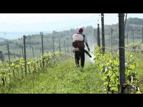 Cifarelli M 1200 EU Νεφελοψεκαστήρας Βενζίνης 12