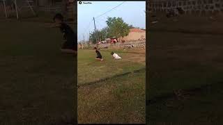 Download lagu 13 Agustus 2025 mp3