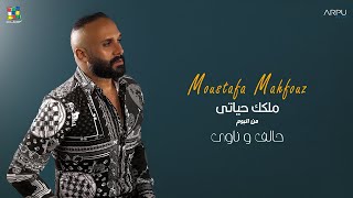 كلمات اغنية ملكك حياتي مصطفى محفوظ