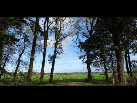 379 Vlodrop (Limburg, NL) 14,5 km