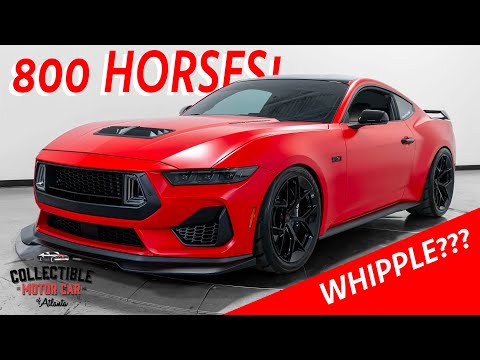 2024 Ford Mustang (CC-2004942) for sale in Marietta, Georgia