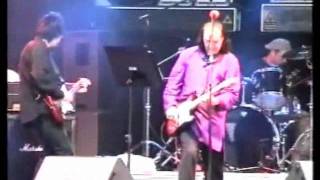 Dave Davies - You're Looking Fine (Live in Potsdam 2004)