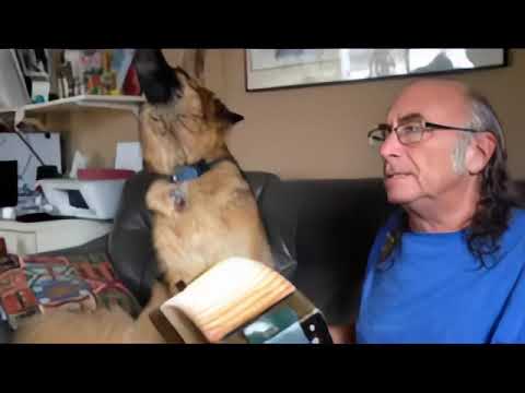 Maureen's husband Lenny playing the accordian with Sunny the singing dog