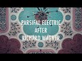 Vilém Veverka - The Electric Recital / benefiční koncert