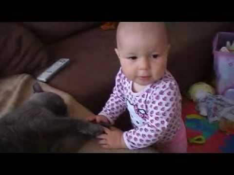 Aninka a kocour Pan Tau