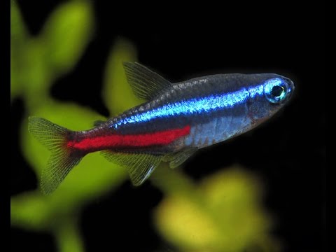 My 200x60x60 work in progress