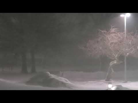 blizzard conditions Johnston Iowa 1/15/21