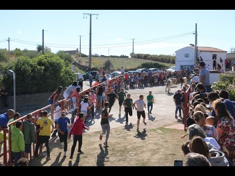 Segundo encierro de las fiestas de Pereña con novillos de Valdeflores 