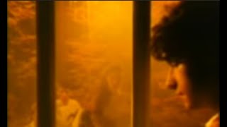 Spoons Vs Jane Siberry -  Nova Heart Above The Treeline